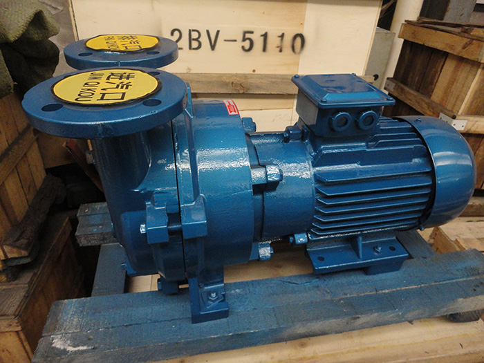 2BV(SKA)系列水環(huán)式真空泵