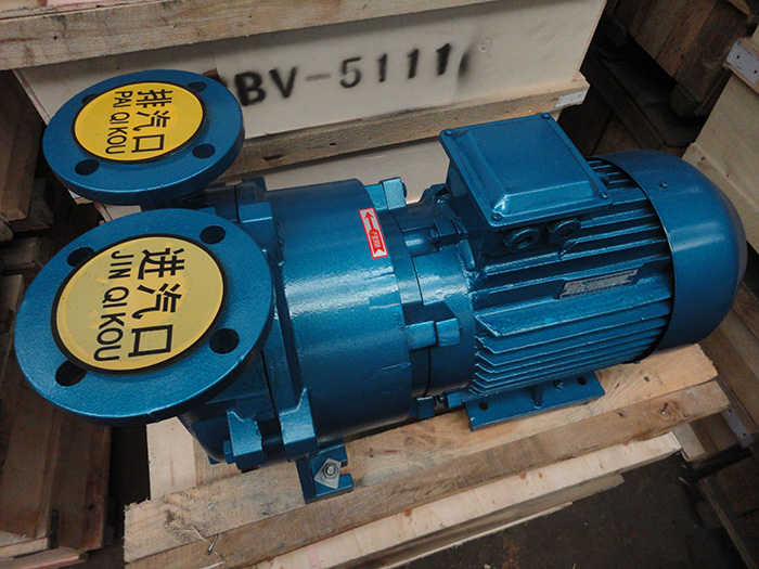 2BV(SKA)系列水環(huán)式真空泵