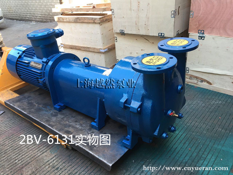 2BV水環(huán)式真空泵 2BV水環(huán)式真空泵