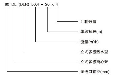 DL系列立式多級(jí)離心泵型號(hào)意義